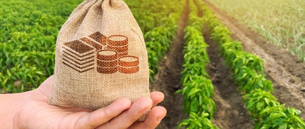 Receita determina que a base de cálculo das contribuições previdenciárias na agroindustria é a receita bruta da produção, com exceções para cooperativas e setores específicos